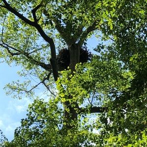 Meet your Posher, Gail